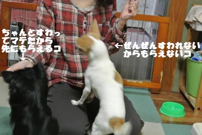 20121029+006_convert_20121029110232.jpg