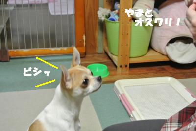 20121029+008_convert_20121029110423.jpg