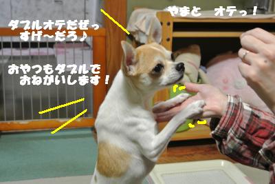 20121029+009_convert_20121029110451.jpg