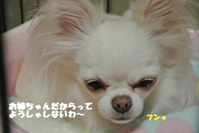 20121029+014_convert_20121030135926.jpg