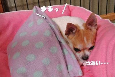 20121029+020_convert_20121030095834.jpg