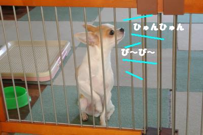20121029+021_convert_20121030095539.jpg
