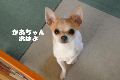20121029+023_convert_20121030094831.jpg
