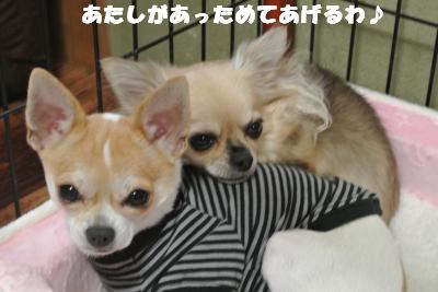 20121029+026_convert_20121030095216.jpg