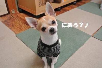 20121029+027_convert_20121030095034.jpg