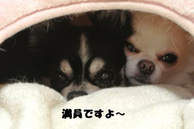 20121029+028_convert_20121030094958.jpg