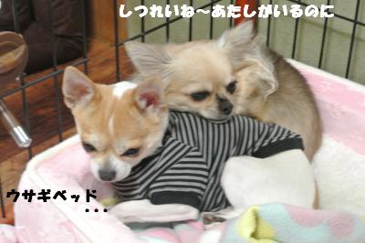20121029+030_convert_20121030095256.jpg