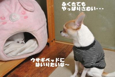 20121029+031_convert_20121030095113.jpg