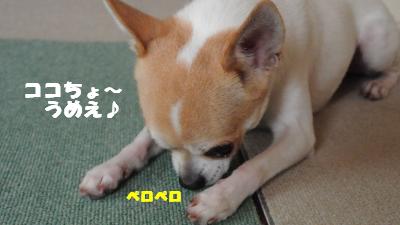 20121101+001_convert_20121101104705.jpg