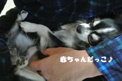 20121101+001_convert_20121102100439.jpg