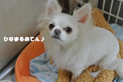 20121101+001_convert_20121105094358.jpg