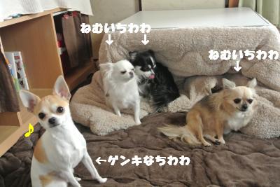 20121101+001_convert_20121108101041.jpg