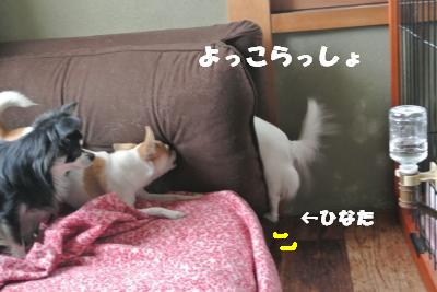 20121101+002_convert_20121101104739.jpg