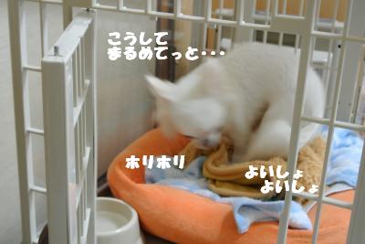 20121101+002_convert_20121105094432.jpg
