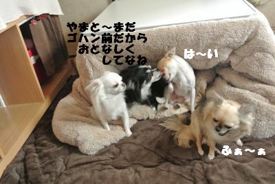 20121101+002_convert_20121108101528.jpg