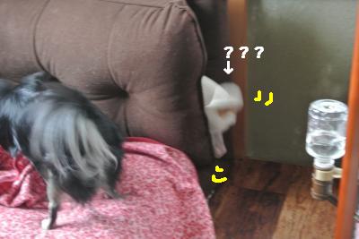 20121101+003_convert_20121101104803.jpg