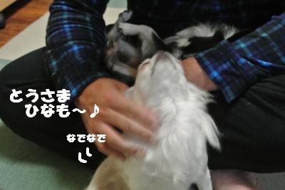 20121101+003_convert_20121102100507.jpg