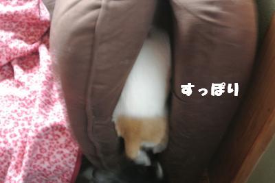 20121101+004_convert_20121101104842.jpg