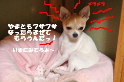 20121101+004_convert_20121102100704.jpg