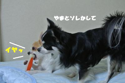 20121101+005_convert_20121105095046.jpg