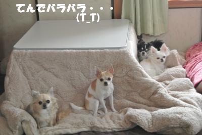 20121101+005_convert_20121108101638.jpg