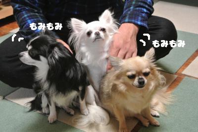 20121101+006_convert_20121102100613.jpg