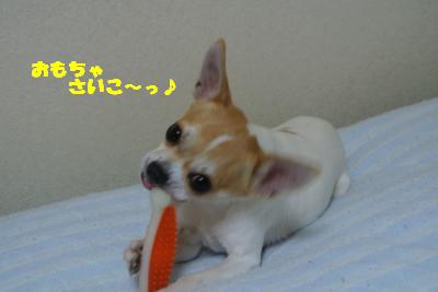 20121101+006_convert_20121105094617.jpg