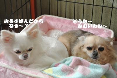 20121101+007_convert_20121101105039.jpg