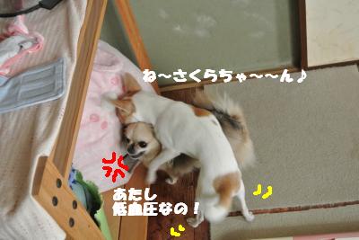 20121101+008_convert_20121108101138.jpg