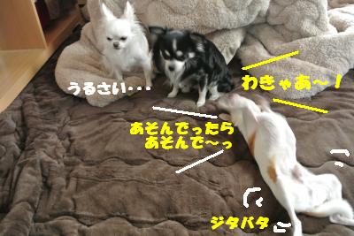 20121101+009_convert_20121108101350.jpg