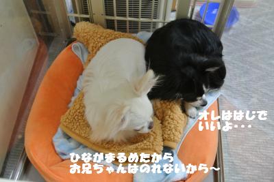 20121101+013_convert_20121105094542.jpg