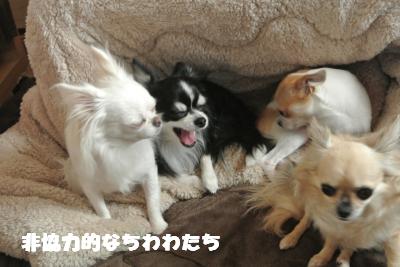 20121101+013_convert_20121108101706.jpg