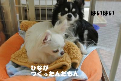 20121101+015_convert_20121106091216.jpg