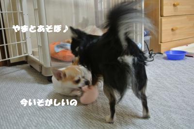 20121101+019_convert_20121105095821.jpg