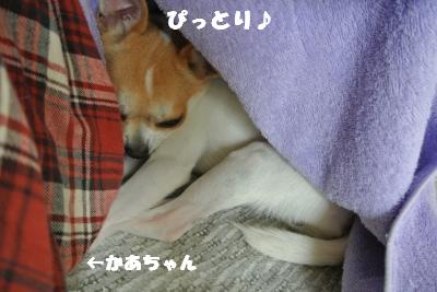 20121101+026_convert_20121105095143.jpg