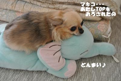 20121101+029_convert_20121105095215.jpg