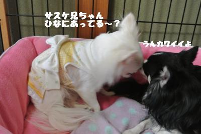 20121101+036_convert_20121105100346.jpg