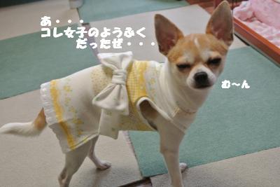 20121101+038_convert_20121105100641.jpg