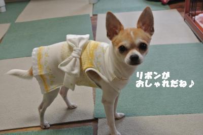 20121101+039_convert_20121105100514.jpg