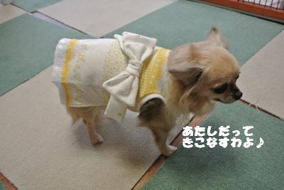 20121101+041_convert_20121105100427.jpg