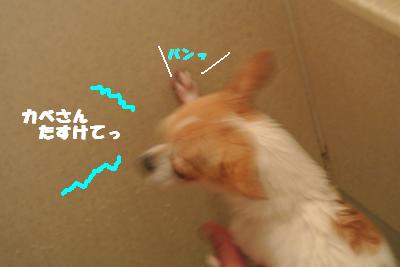 20121101+045_convert_20121105095424.jpg