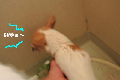 20121101+046_convert_20121105095342.jpg