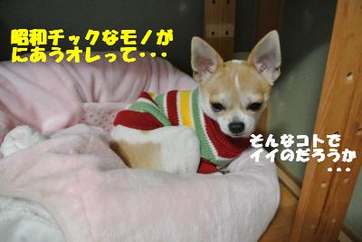 20121101+049_convert_20121105095616.jpg