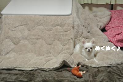 20121101+050_convert_20121105095716.jpg