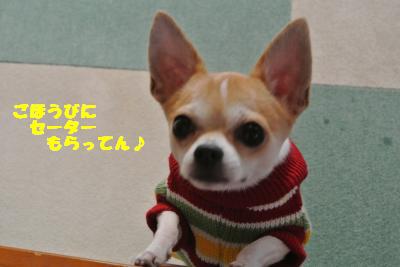 20121101+051_convert_20121105100728.jpg