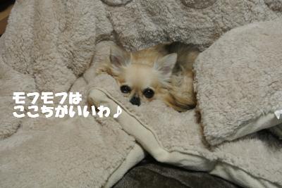 20121101+052_convert_20121105132750.jpg