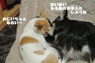 20121109+001_convert_20121109102736.jpg