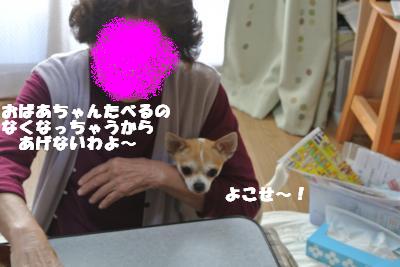 20121109+004_convert_20121112153521.jpg