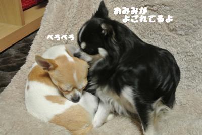 20121109+005_convert_20121109102919.jpg