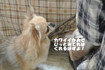 20121109+005_convert_20121112153447_20121112154814.jpg